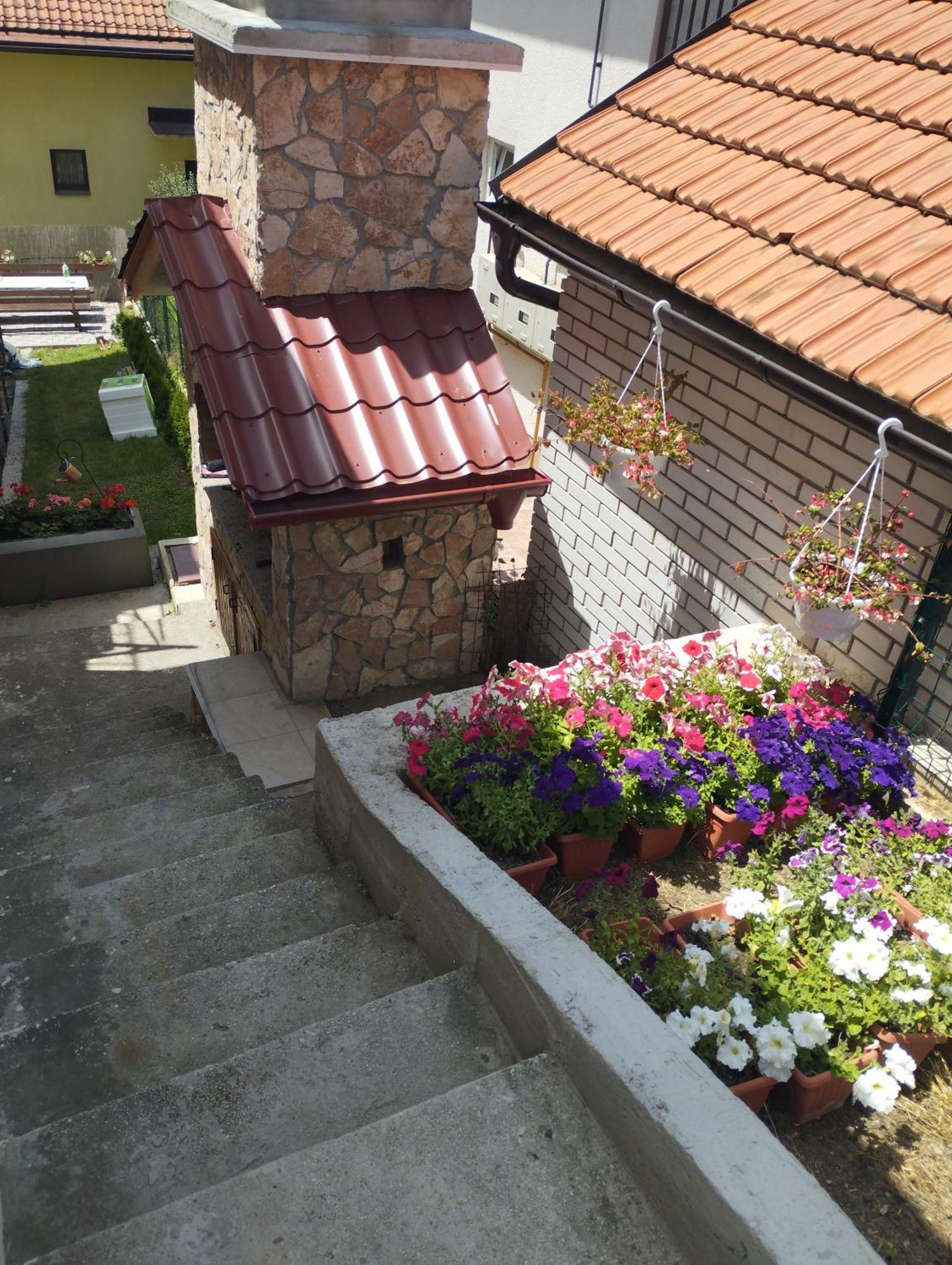 Sanja Sarajevo